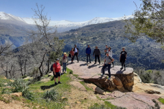 163364336_3705168422871874_7763864025047114093_o