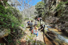 163377864_3705199502868766_1022539627526773832_o