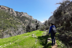 163638221_3705200332868683_3088332146503954290_o