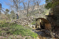 163695782_3705190122869704_7508681174621460610_o