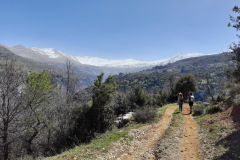 163880315_3705169239538459_3325572093035500094_o