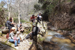 163909164_3705194759535907_4719263877531117392_o