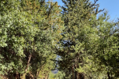 163922045_3705209439534439_2508478336624608426_o