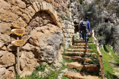 164075184_3705206312868085_3715105402814138346_o