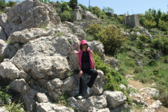 DSCF1378