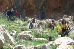 DSCF1386