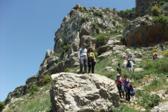 DSCF1388