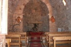 DSCF1401