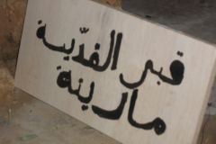 DSCF1423