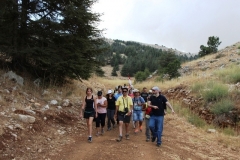 IMG_1229 - Copy