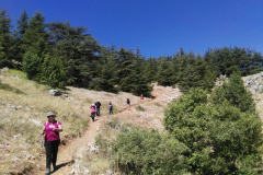 67239466_2274904422564955_1636195627094245376_n