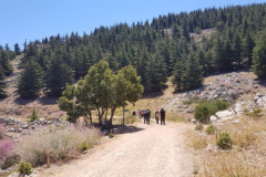 67248799_2274886315900099_4072496189159768064_n