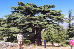 67248801_2274891902566207_7621617438974541824_n