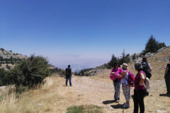 67258369_2274903729231691_6736693673070690304_n