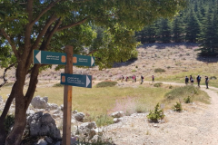 67269284_2274886329233431_7091017381090164736_n