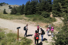 67288135_2274904202564977_6162596084787970048_n