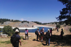 67295560_2274903452565052_9030149137609261056_n