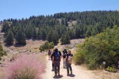 67296651_2274885782566819_194568555449024512_n