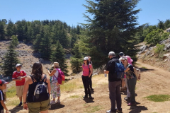 67312945_2274885579233506_6906044096113016832_n