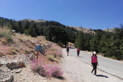 67324041_2274903379231726_9003671828165558272_n