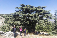 67325620_2274904692564928_4675978118320619520_n