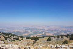 67343741_2274884082566989_2157885818272743424_n