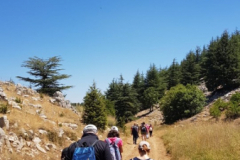 67354225_2274883965900334_3235025408080478208_n