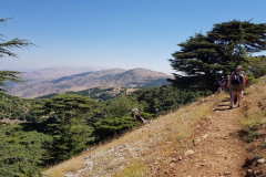 67354476_2274883465900384_6391165452483035136_n