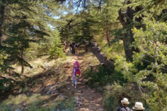 67355979_2274883362567061_5087922656611663872_n