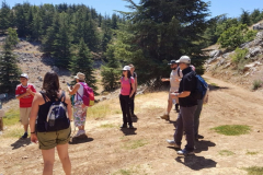 67365534_2274884162566981_2710426269912137728_n