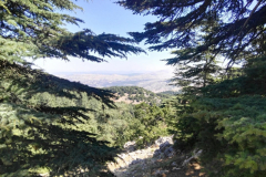 67373881_2274904909231573_6448155214619869184_n