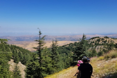 67388403_2274883702567027_2911409316068065280_n