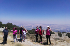 67393578_2274903949231669_7119359702772744192_n