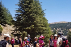 67401859_2274884275900303_724235402839326720_n