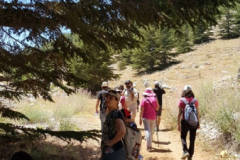 67401869_2274885632566834_6053056199488700416_n