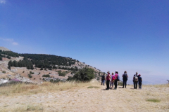 67402466_2274903669231697_3906501003159011328_n