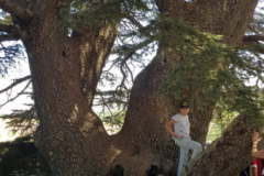 67403063_2274883782567019_3594703802151731200_n