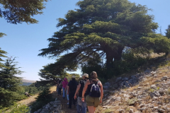 67403198_2274883565900374_6557280992057360384_n (1)