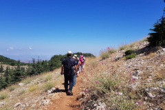 67403960_2274885869233477_1635599713266827264_n