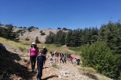 67414984_2274903252565072_2023997574393888768_n