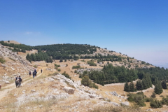 67425997_2274884955900235_5995157020976611328_n