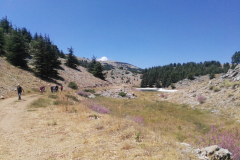 67443949_2274903872565010_123142351668379648_n