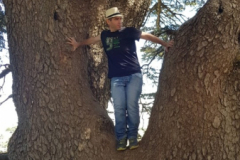 67451674_2274884685900262_4957846896287678464_n