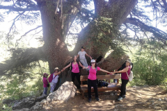 67511355_2274904552564942_7716064023216652288_n