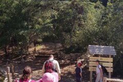 67533075_2274883685900362_8703122850153758720_n