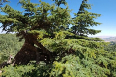 67546258_2274883385900392_3101306626431254528_n