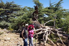 67552046_2274883232567074_8961223953414619136_n