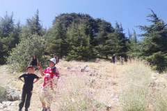 67554420_2274904605898270_8548662447366471680_n