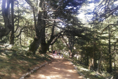 67562703_2274904125898318_2211797991528857600_n