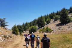 67589069_2274884999233564_8289872134998589440_n